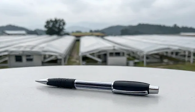 如何提升系统性能？实用建议解析
